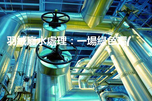 羽絨廢水處理：一場綠色環(huán)保的羽毛盛宴？